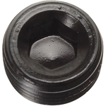 Order Fuel Hose Fitting by RUSSELL - 662033 For Your Vehicle