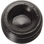 Order Fuel Hose Fitting by RUSSELL - 662063 For Your Vehicle