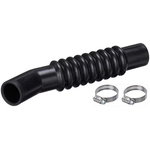 Order Fuel Hose by SPECTRA PREMIUM INDUSTRIES - FNH003 For Your Vehicle
