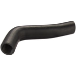 Order Fuel Hose by SPECTRA PREMIUM INDUSTRIES - FNH013 For Your Vehicle