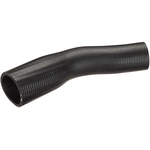 Order Fuel Hose by SPECTRA PREMIUM INDUSTRIES - FNH077 For Your Vehicle