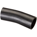 Order Fuel Hose by SPECTRA PREMIUM INDUSTRIES - FNH126 For Your Vehicle