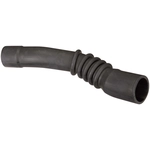 Order Fuel Hose by SPECTRA PREMIUM INDUSTRIES - FNH133 For Your Vehicle