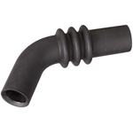 Order Fuel Hose by SPECTRA PREMIUM INDUSTRIES - FNH137 For Your Vehicle