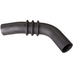 Order Fuel Hose by SPECTRA PREMIUM INDUSTRIES - FNH138 For Your Vehicle