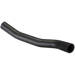 Purchase Fuel Hose by SPECTRA PREMIUM INDUSTRIES - FNH155