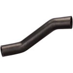 Order Fuel Hose by SPECTRA PREMIUM INDUSTRIES - FNH156 For Your Vehicle