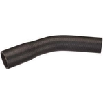 Order Fuel Hose by SPECTRA PREMIUM INDUSTRIES - FNH199 For Your Vehicle