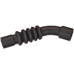 Order Fuel Hose by SPECTRA PREMIUM INDUSTRIES - FNH204 For Your Vehicle