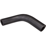 Order Fuel Hose by SPECTRA PREMIUM INDUSTRIES - FNH237 For Your Vehicle