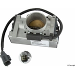 Order Fuel Injection Throttle Body by GENUINE OE - 36050563 For Your Vehicle