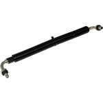 Order DORMAN (OE SOLUTIONS) - 904-073 - High Pressure Oil Pump Hose For Your Vehicle
