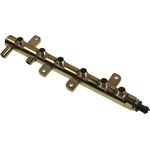 Order Fuel Injector Rail by BLUE STREAK (HYGRADE MOTOR) - FIR5 For Your Vehicle