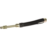 Order Fuel Line Assembly by DORMAN (OE SOLUTIONS) - 800-881 For Your Vehicle