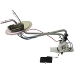 Order AGILITY - 4010004 - Fuel Pump and Sender Assembly For Your Vehicle