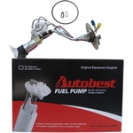 Order Fuel Pump And Hanger With Sender by AUTOBEST - F1089A For Your Vehicle
