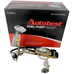 Order Fuel Pump And Hanger With Sender by AUTOBEST - F1207A For Your Vehicle