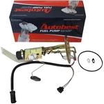 Order Fuel Pump And Hanger With Sender by AUTOBEST - F1209A For Your Vehicle