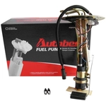 Order Fuel Pump And Hanger With Sender by AUTOBEST - F1248A For Your Vehicle