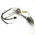 Order Fuel Pump And Hanger With Sender by DELPHI - HP10022 For Your Vehicle