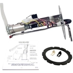 Order Fuel Pump And Hanger With Sender by DELPHI - HP10127 For Your Vehicle