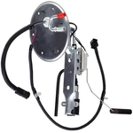 Order Fuel Pump And Hanger With Sender by DELPHI - HP10233 For Your Vehicle