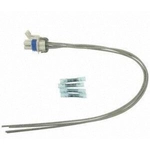 Order Connecteur de pompe à carburant de BLUE STREAK (HYGRADE MOTOR) - S1208 For Your Vehicle