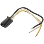 Order BWD AUTOMOTIVE - PT81 - Water in Fuel Sensor Connecteur For Your Vehicle