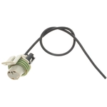 Order STANDARD - PRO SERIES - S639 - Connecteur de pompe à carburant For Your Vehicle