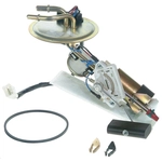 Order Fuel Pump Hanger Assembly by CARTER - P74602S For Your Vehicle