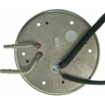Order Fuel Pump Hanger Assembly by CARTER - P76113S For Your Vehicle