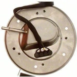 Order Fuel Pump Hanger Assembly by CARTER - P76130S For Your Vehicle