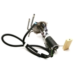 Order Fuel Pump Hanger Assembly by DELPHI - HP10027 For Your Vehicle