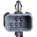 Order Fuel Pump Hanger Assembly by DELPHI - HP10016 For Your Vehicle