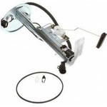 Order Fuel Pump Hanger Assembly by DELPHI - HP10133 For Your Vehicle