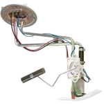 Order Fuel Pump Hanger Assembly by DELPHI - HP10149 For Your Vehicle