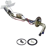 Order Fuel Pump Hanger Assembly by DELPHI - HP10181 For Your Vehicle