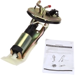 Order Fuel Pump Hanger Assembly by DELPHI - HP10239 For Your Vehicle