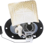 Order Fuel Pump Hanger Assembly by DELPHI - HP10249 For Your Vehicle