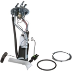 Order Fuel Pump Hanger Assembly by DELPHI - HP10255 For Your Vehicle