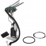 Order Fuel Pump Hanger Assembly by DELPHI - HP10256 For Your Vehicle