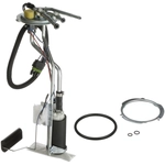 Order Fuel Pump Hanger Assembly by DELPHI - HP10258 For Your Vehicle