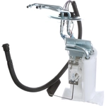 Order Fuel Pump Hanger Assembly by DELPHI - HP10265 For Your Vehicle