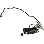 Order AGILITY - 4010958 - Fuel Pump Module Assembly For Your Vehicle