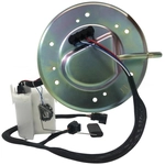 Order Fuel Pump Module Assembly by AGILITY - AGY-00310104 For Your Vehicle