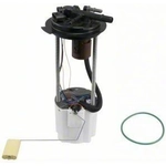 Order Fuel Pump Module Assembly by CARTER - P76286M For Your Vehicle