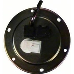 Order Fuel Pump Module Assembly by CARTER - P76690M For Your Vehicle