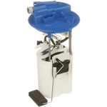 Order DELPHI - FG2181 - Fuel Pump Module Assembly For Your Vehicle