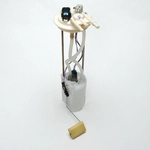 Order Fuel Pump Module Assembly by DELPHI - FG0290 For Your Vehicle