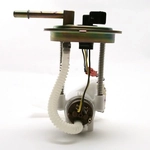 Order Fuel Pump Module Assembly by DELPHI - FG0465 For Your Vehicle